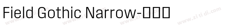 Field Gothic Narrow字体转换